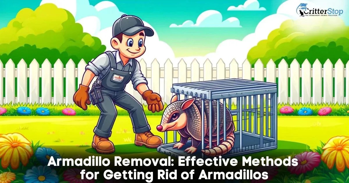 Armadillo Removal Effective Methods for Getting Rid of Armadillos