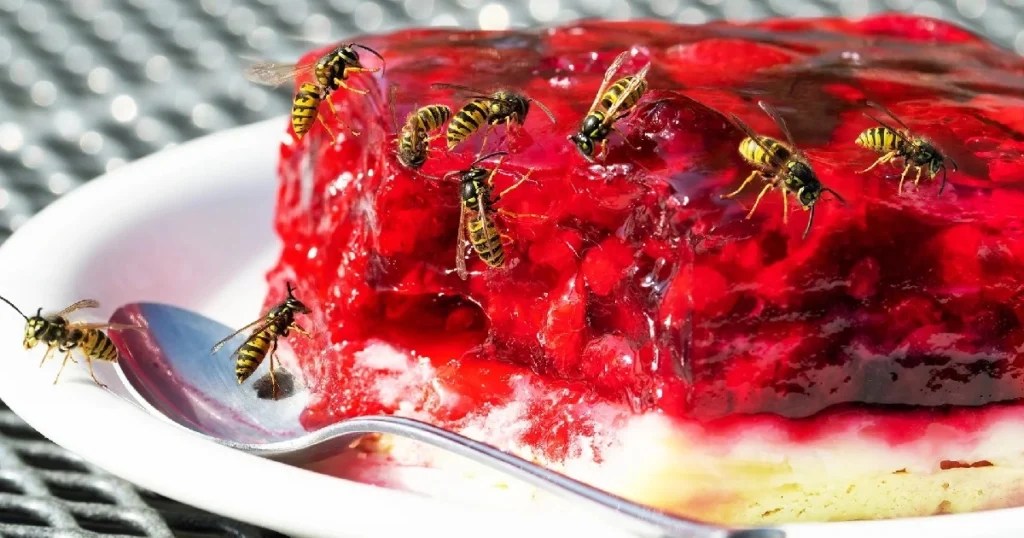 How to Keep Wasps Away Outside Effective Tips and Tricks Critter Stop