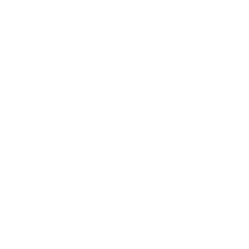 Pest Control Lewisville Critter Stop