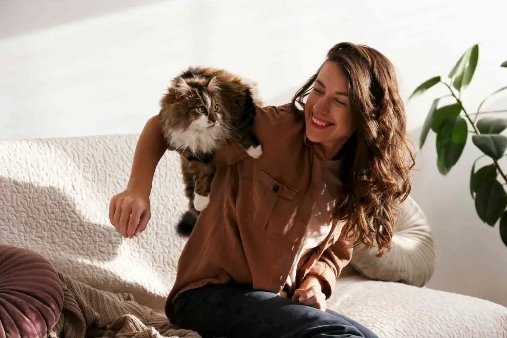 Why Does My Cat Nuzzle My Armpit?