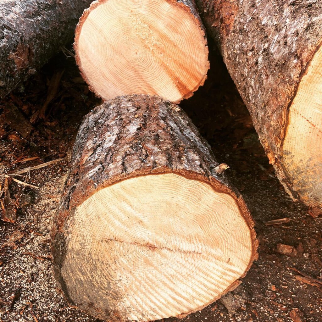 Check Scaling Columbia River Log