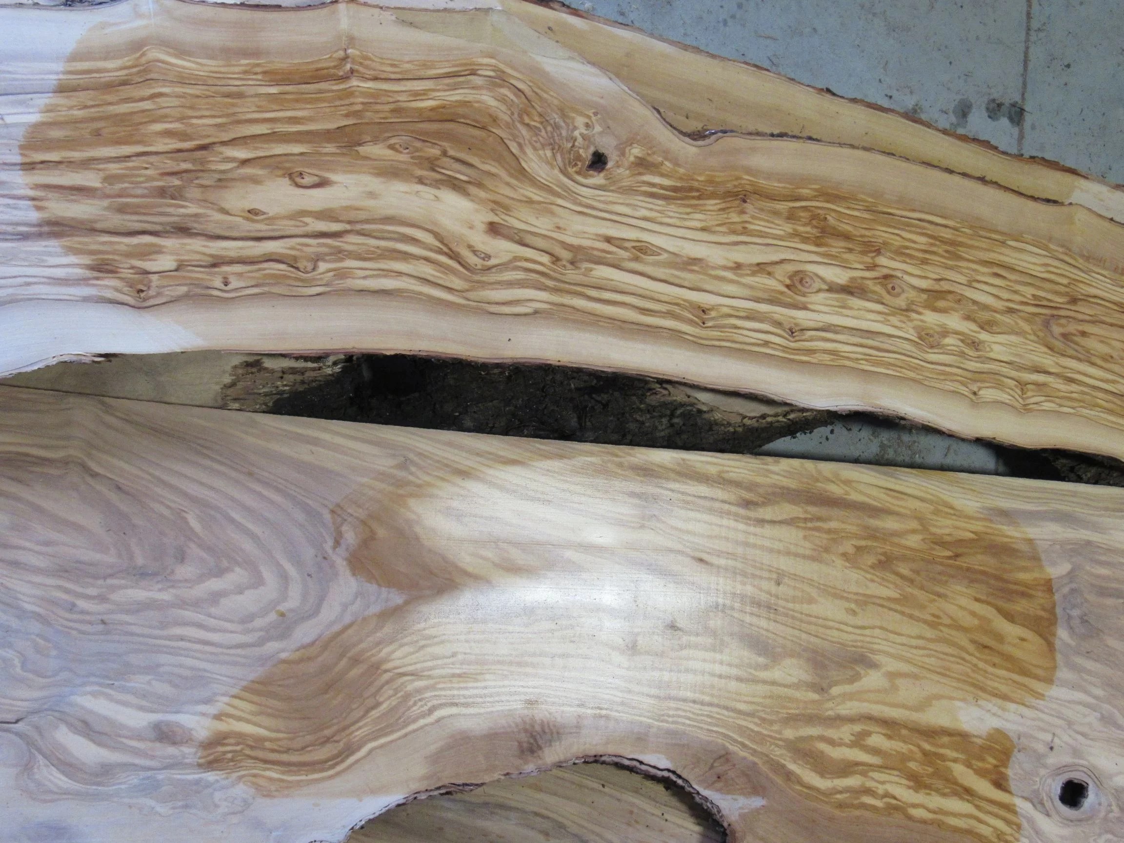 4/4 Olivewood Exotic Lumber CR Muterspaw Lumber
