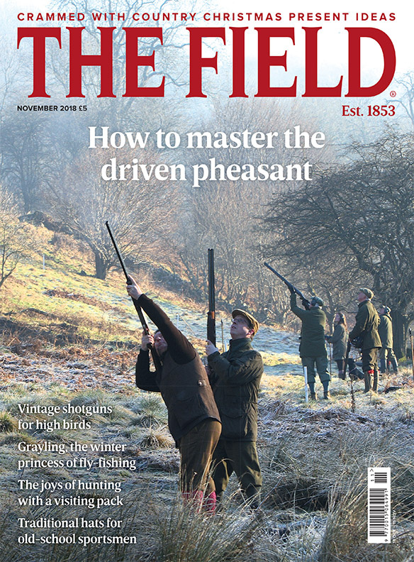 The Field DLT Ireland Magazine Subscription