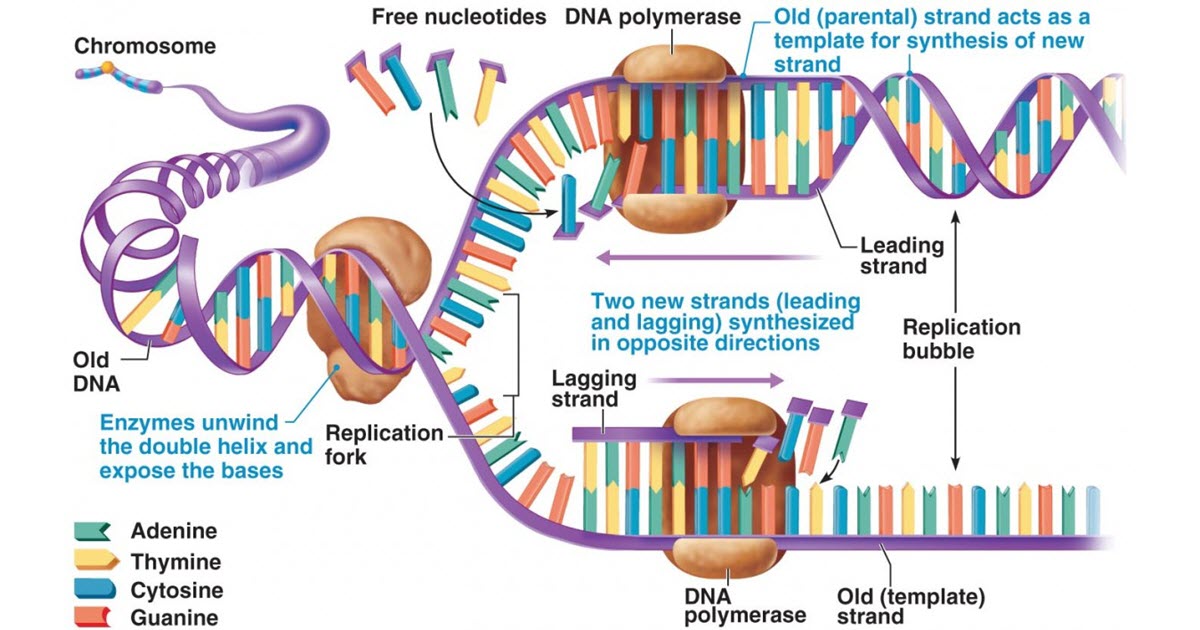 Tip 723 Using Related Data in Dynamics CRM Document Templates Power