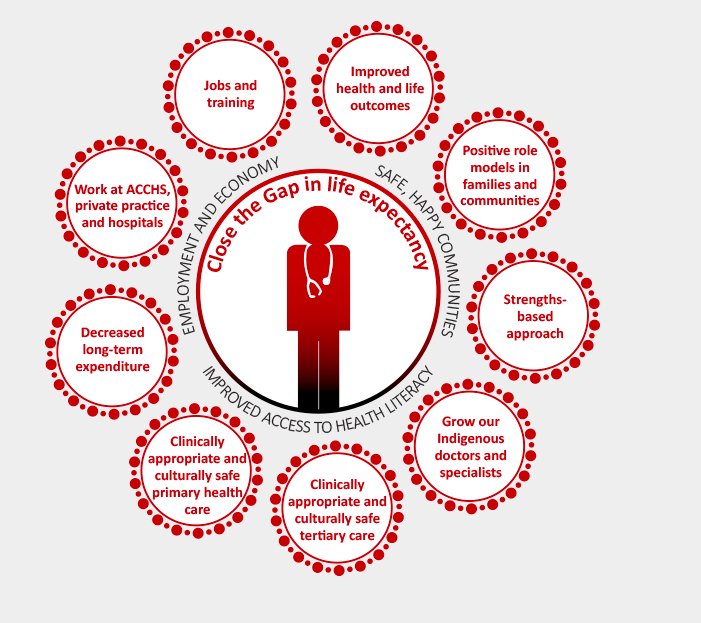 A role for all doctors in Closing the Gap Croakey Health Media