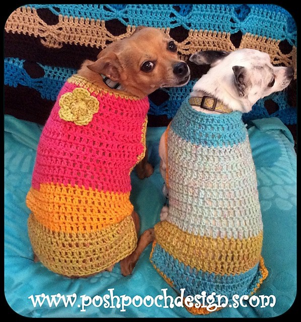 Roundup 10 Free Crochet Dog Sweater Patterns CrochetKim™