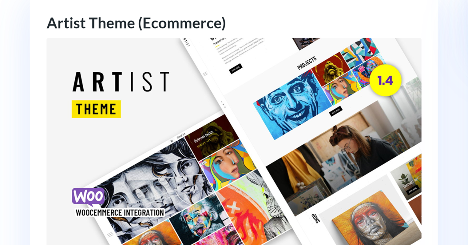 Top 5 Premium Divi Child Themes Best Options for Custom WordPress