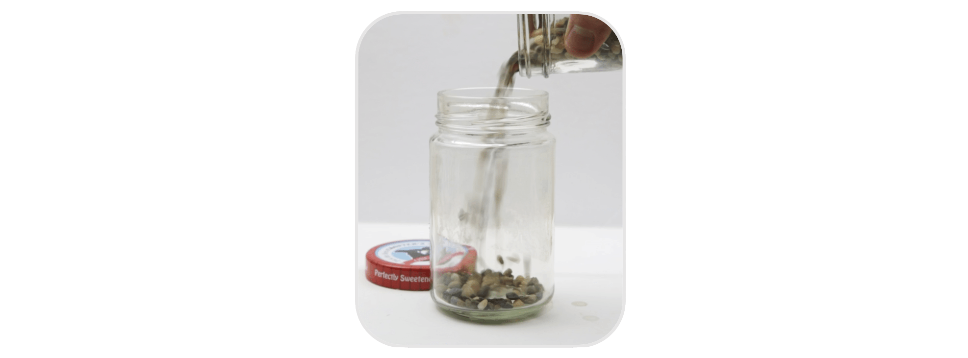 Educational DIY Recycled Jar Ecosphere Crofter's Organic