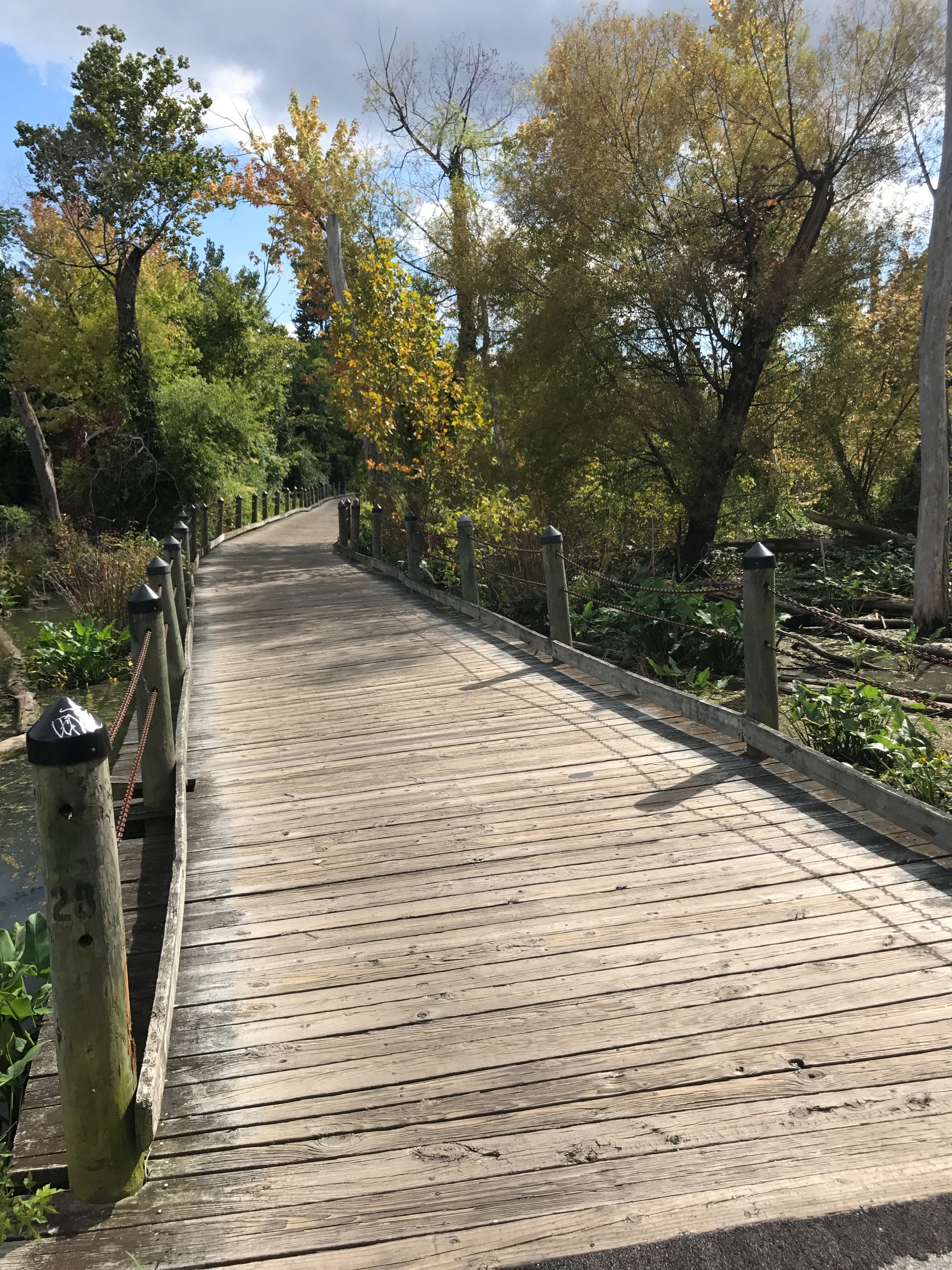 Mount Vernon Trail Home of the Crofton Bike Doctor Blog!