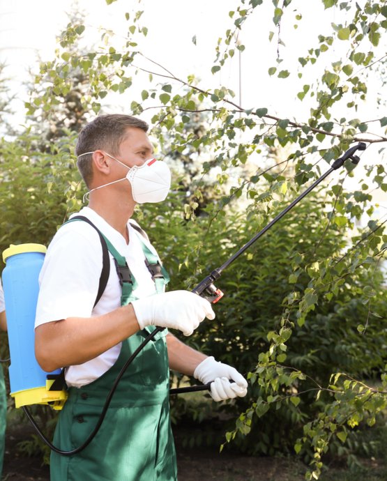 The Advantages Of Tree Spraying Croft Tree Experts