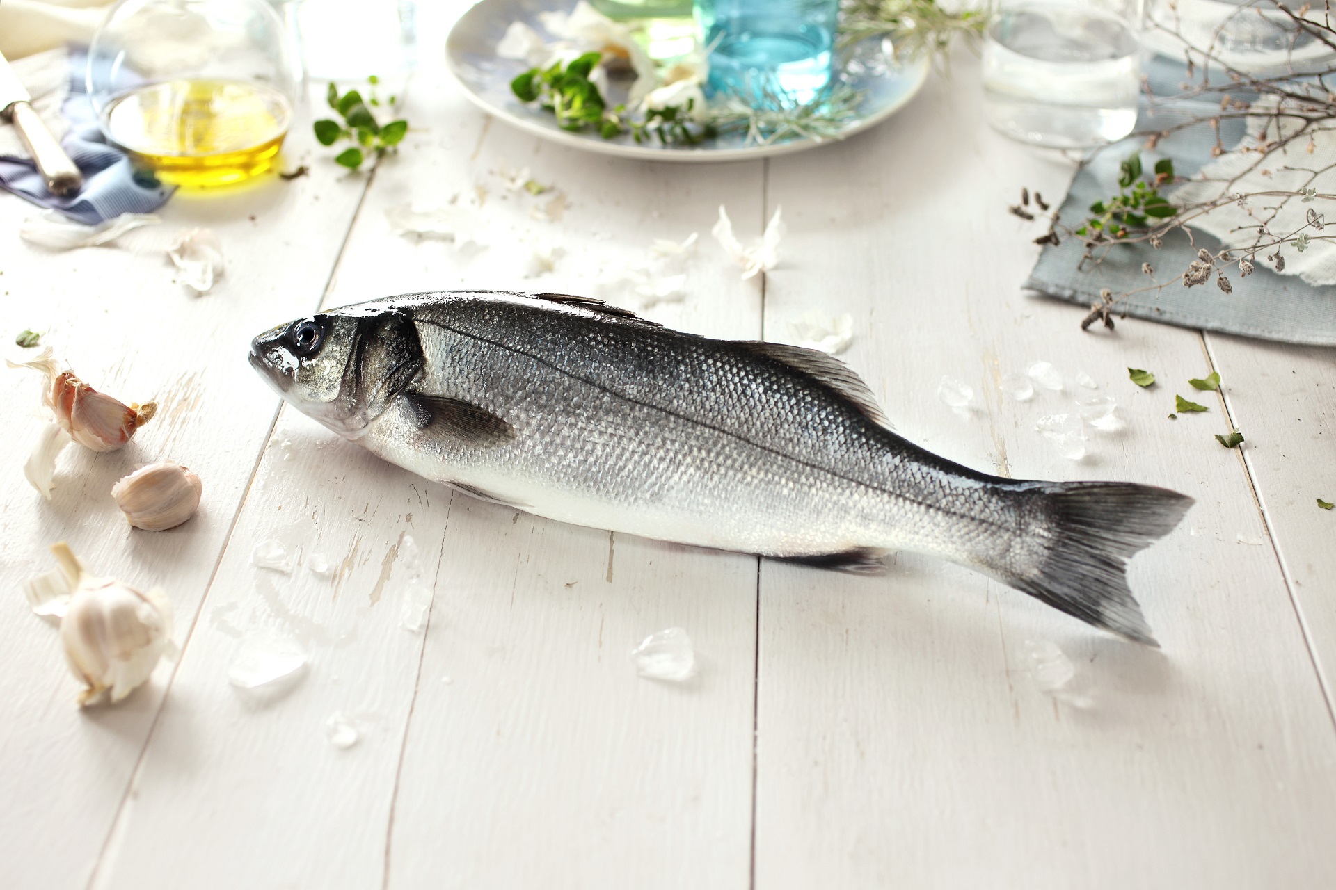 Cromaris BIO brancin » Cromaris