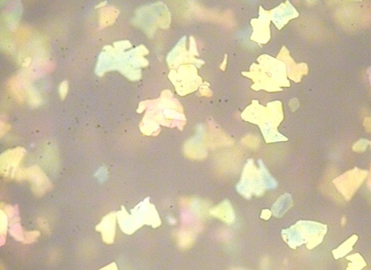 Difference between xirallic and pearl pigments