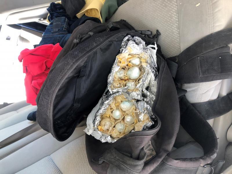 As Marijuana Profits Fade, Cartels Increasingly Smuggle Fentanyl Across