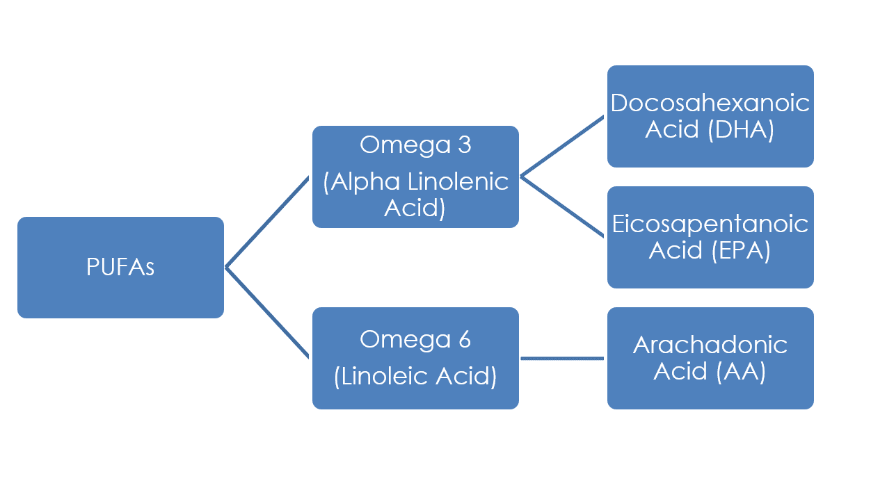 Understanding Cronometer’s Nutrient Ratios Omega 6 and 3 Cronometer Blog