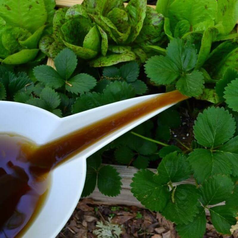 Compost Tea how to make compost teas