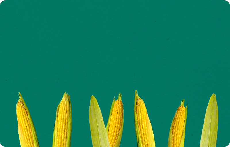 How to Preserve 500 Million Hectares of Land CropLife