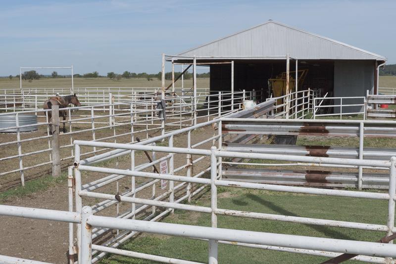 Veterinarian Specials in Bluejacket, OK Cross 7 Veterinary Clinic