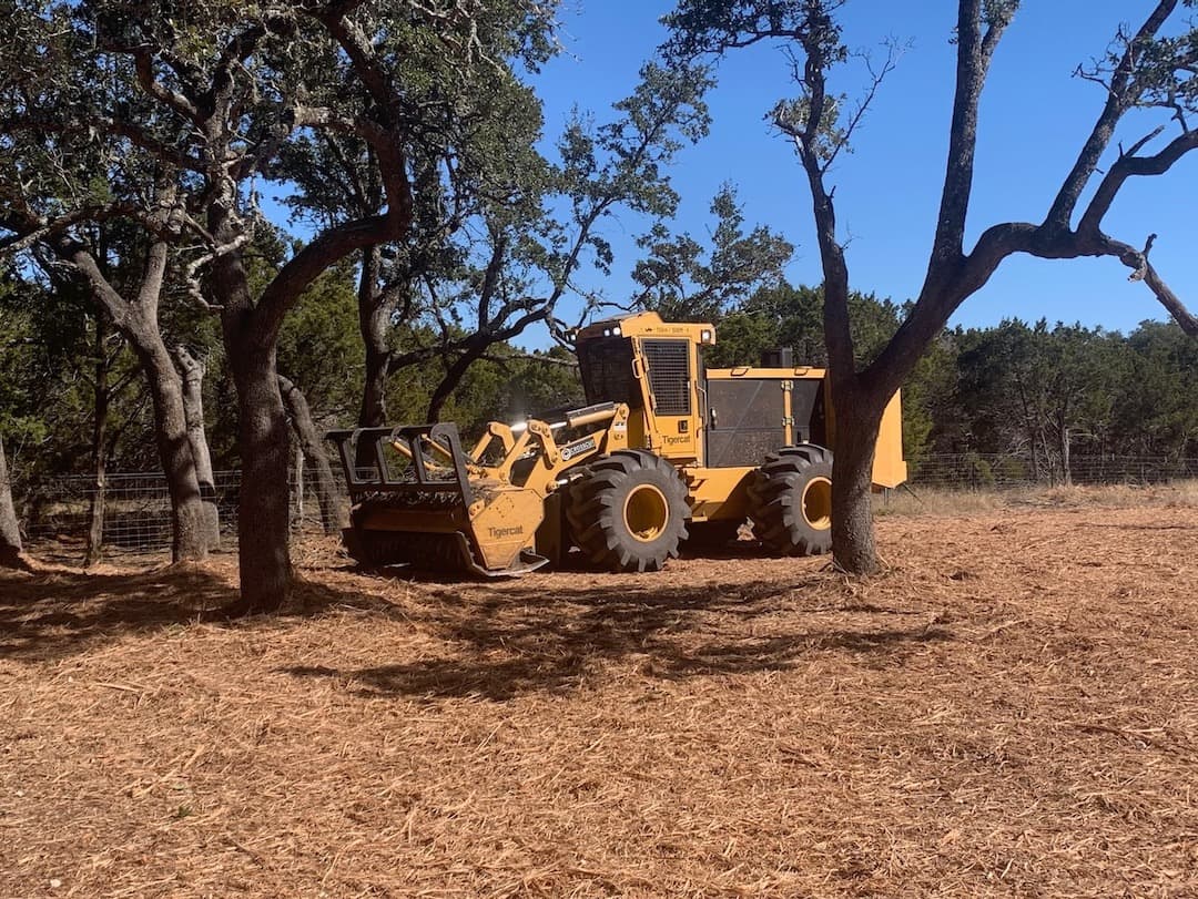 Land Clearing Gallery in TX. Underbrush Clearing