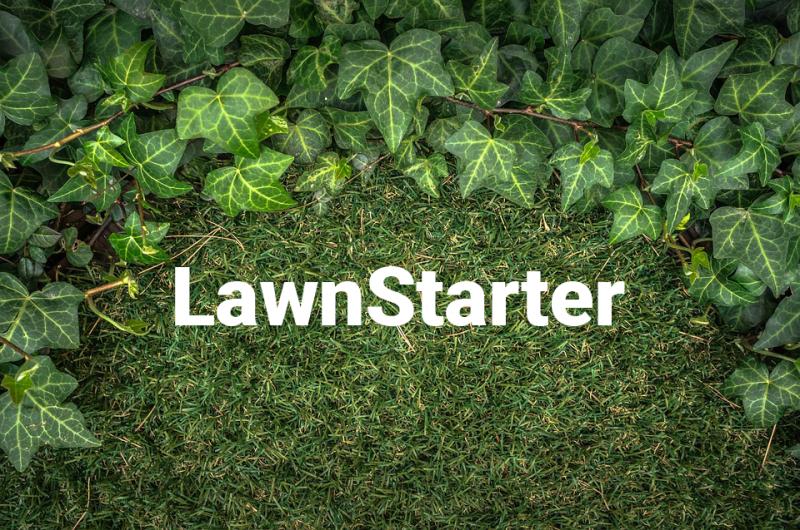 LawnStarter VP Writes Book on How to Lead Distributed Teams