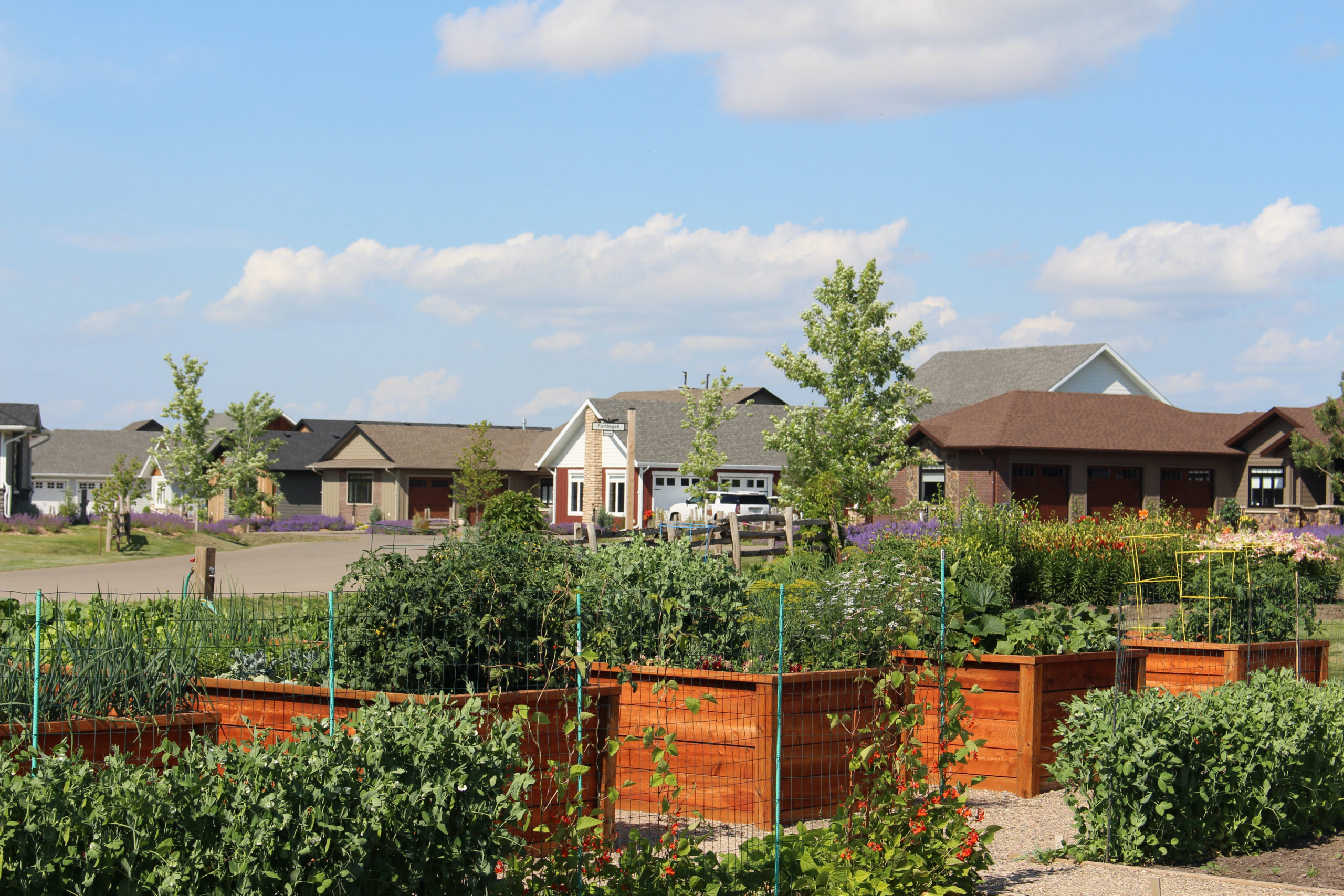 Crossmount Village Active Living Community for 55+ in Saskatoon Sask