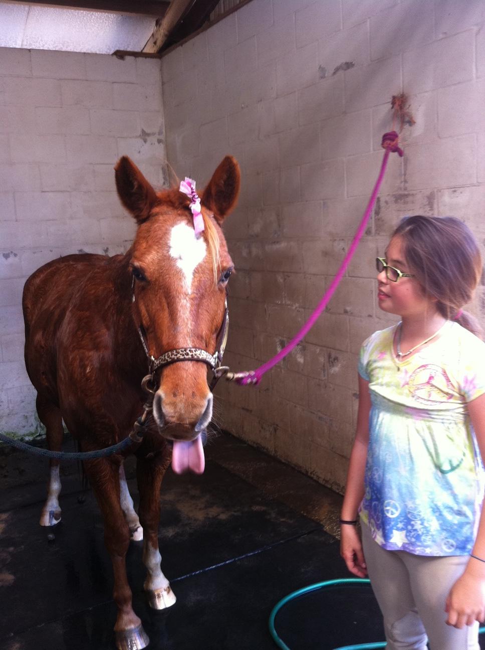 Funny Face!!! Cross Rails Riding Academy