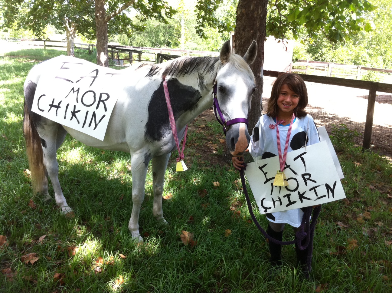 photo 14 Cross Rails Riding Academy