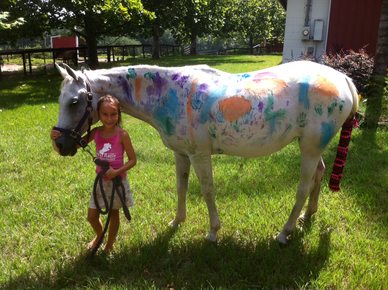 More great costumes Cross Rails Riding Academy