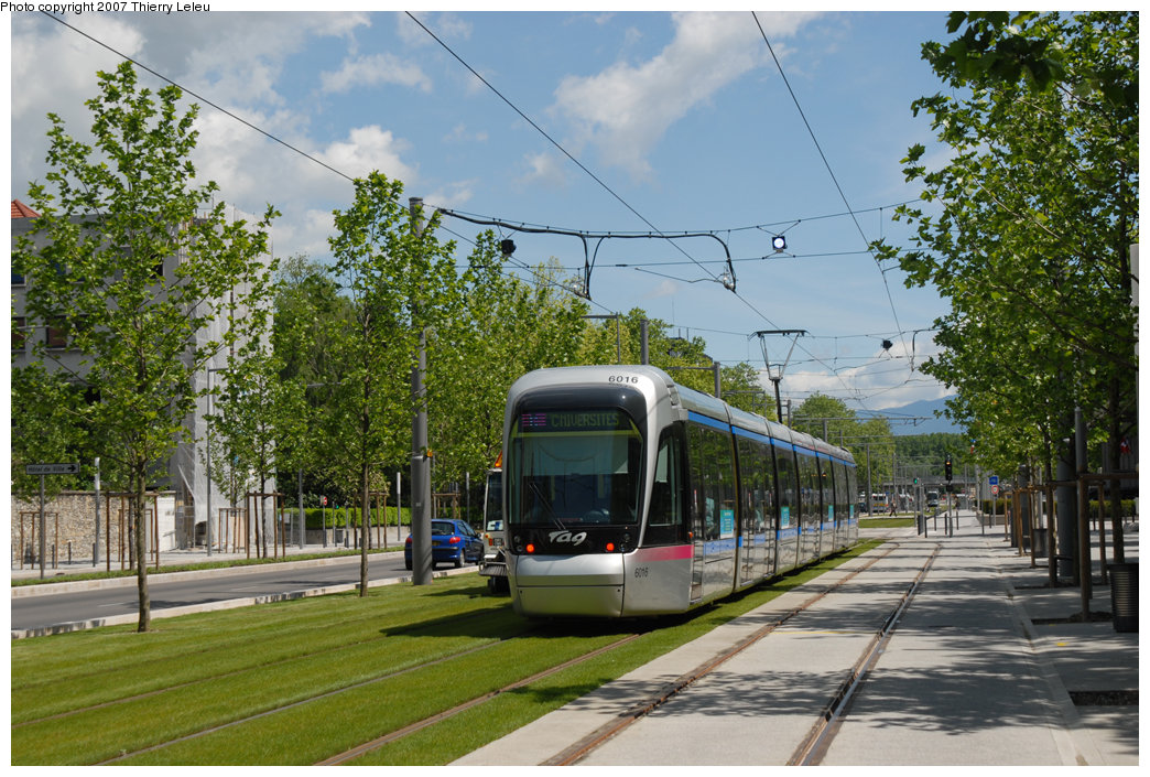 Uyo Calabar Akamkpa Ikom Obudu Cattle Ranch to Be Linked by