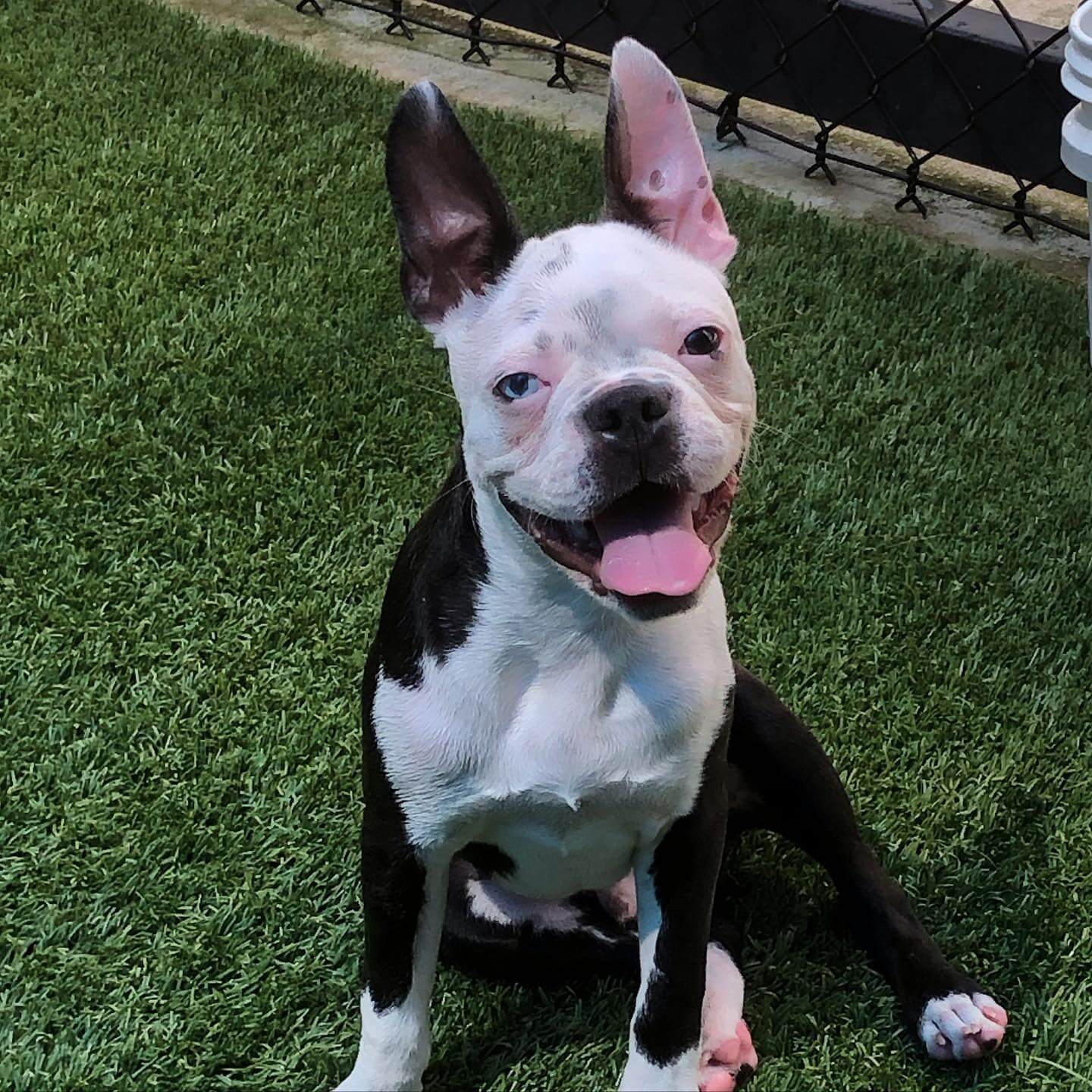 Crossroads Animal Hospital Gallery Greenwell Springs Vet