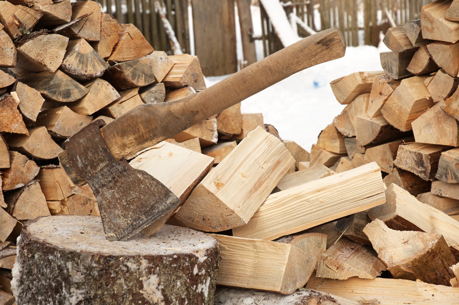 Firewood Identification How to Identify Different Types of Firewood