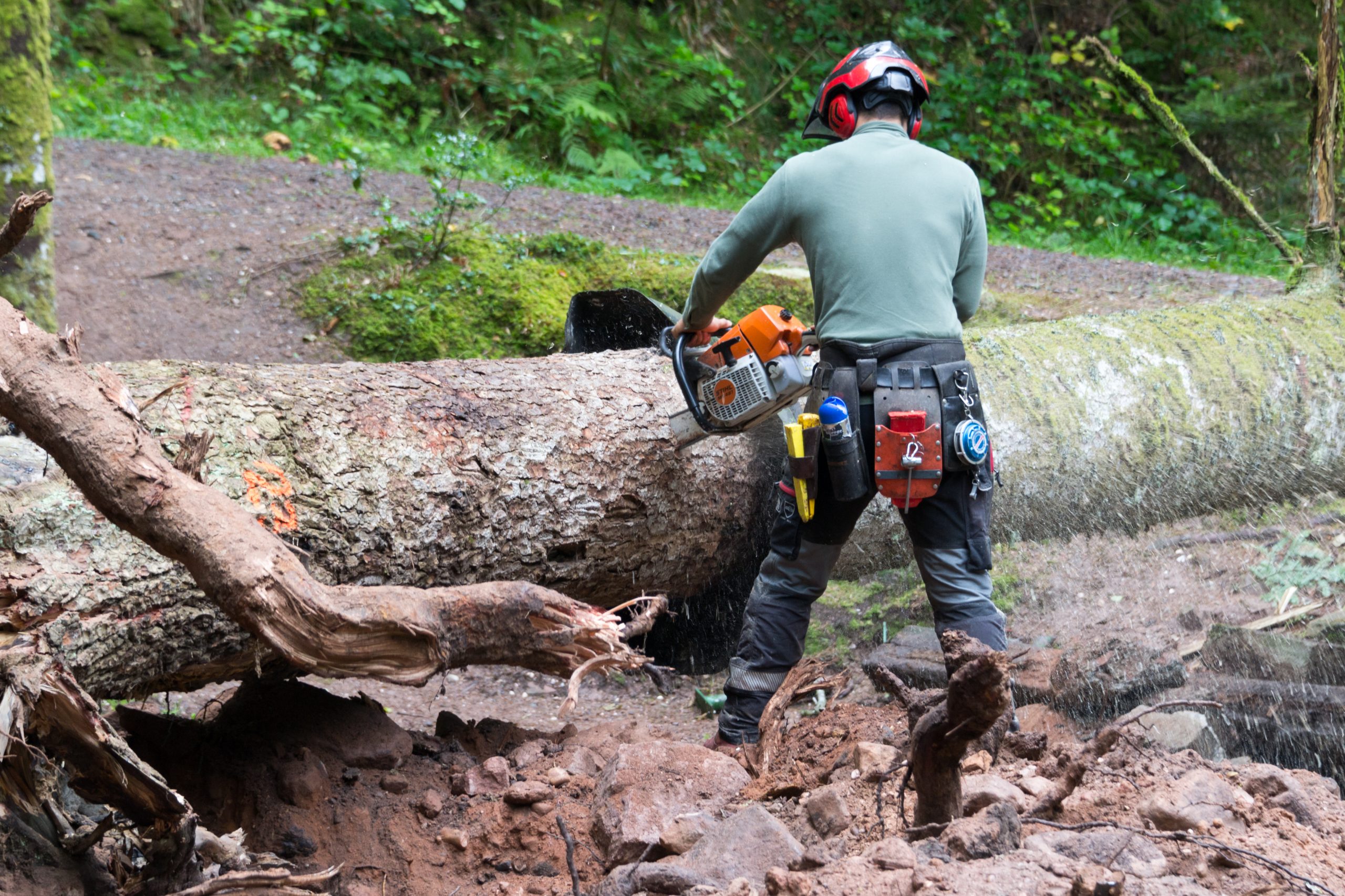 Chainsaw Pants Vs Chaps Chainsaw Leg Safety Gear Explained, 43 OFF