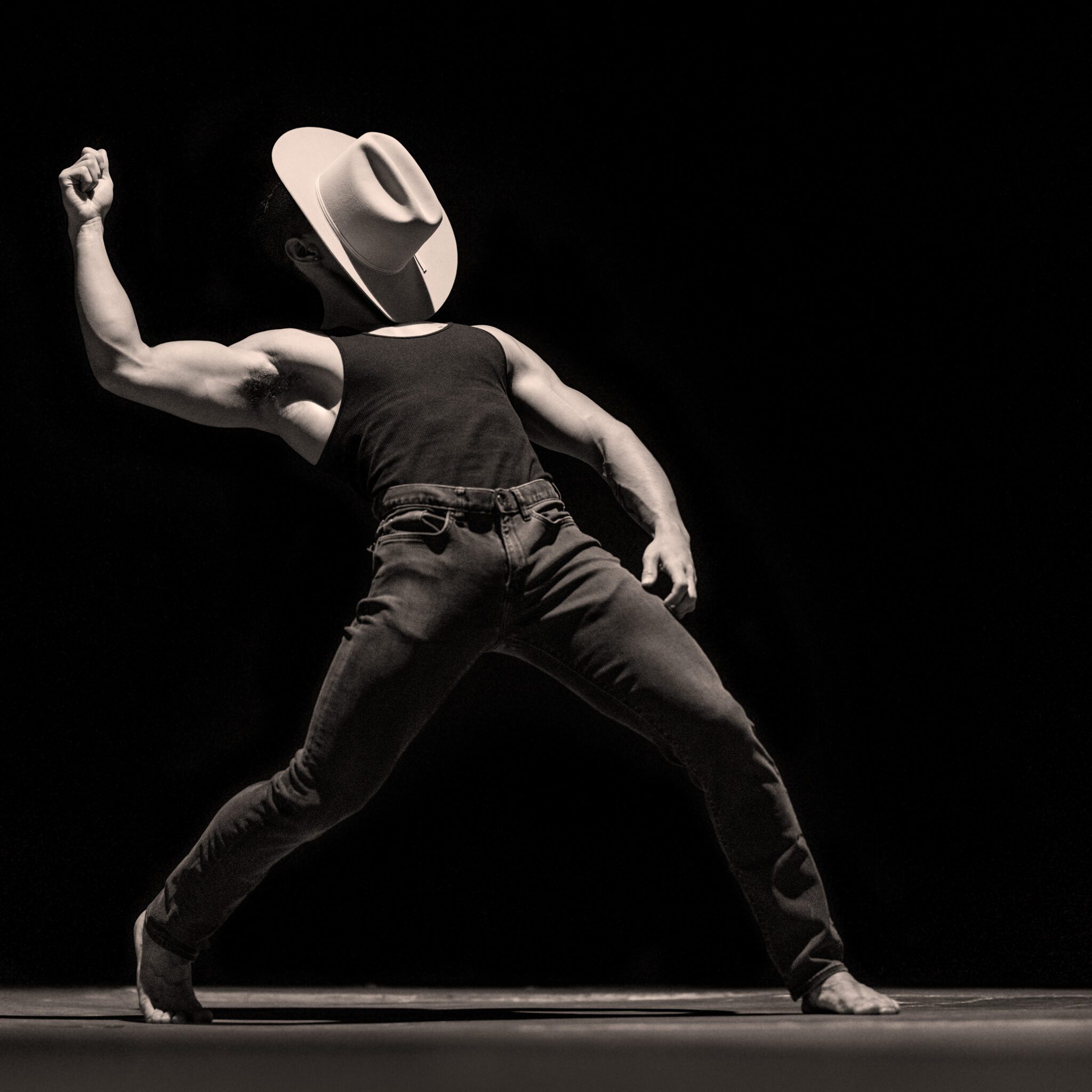 Saddle Tramp with Bailey Bigger Crosstown Concourse Come Curious