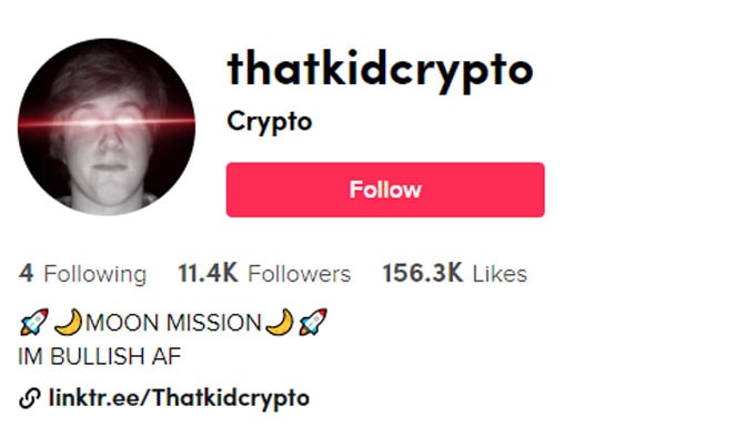 Top Crypto TikTok Influencers in 2021 Crowdcreate
