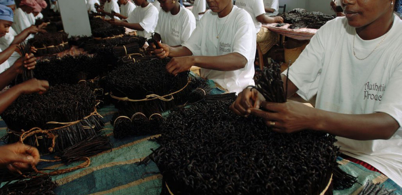 Madagascar vs mexican vanilla dengarden