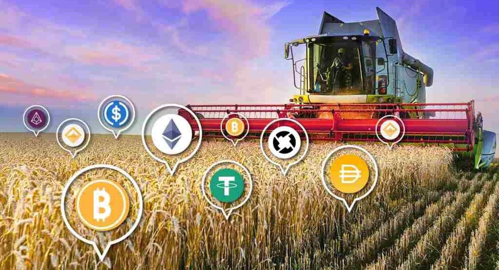 Yield farming crypto What is it and how to invest in it? The Home