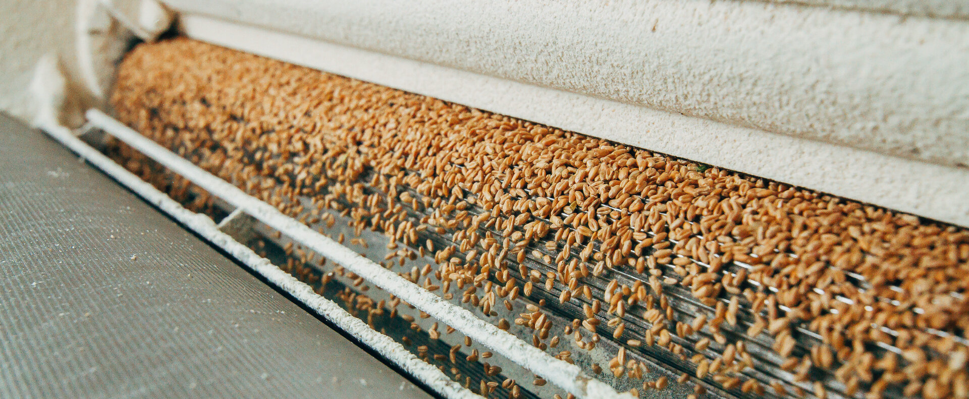 Transforming wheat production in Nigeria through PPP intervention. Crown Flour Mill Ltd