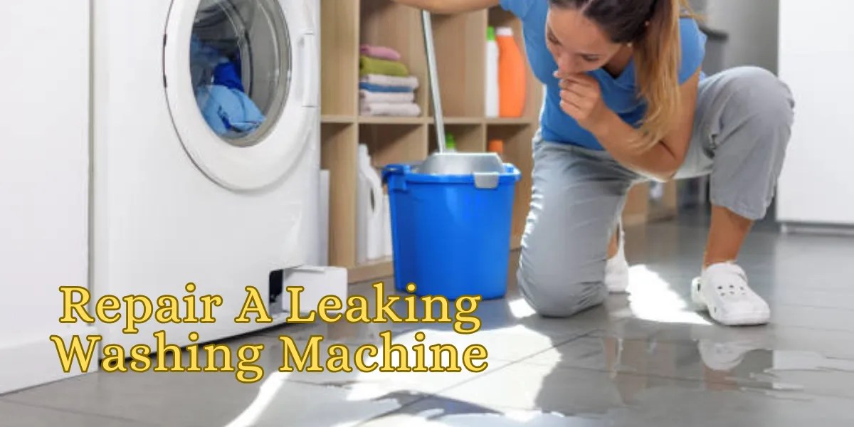 Expert Guide How to Repair a Leaking Washing Machine