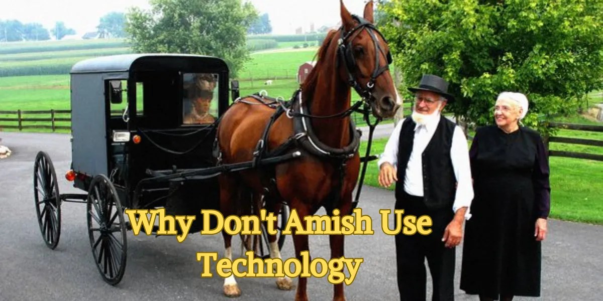 Why Don't Amish Use Technology Insights & Reasons