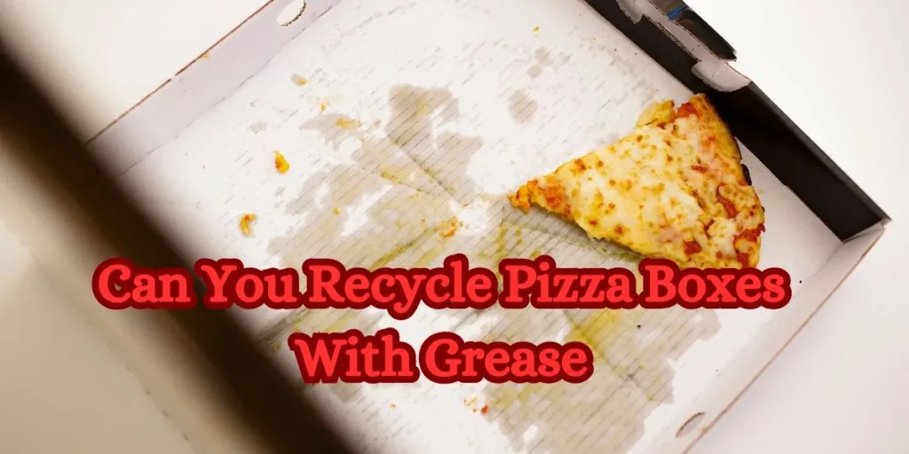 Recycling Pizza Boxes with Grease What You Need to Know