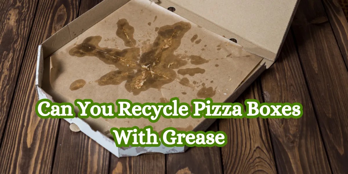 Recycling Pizza Boxes with Grease What You Need to Know