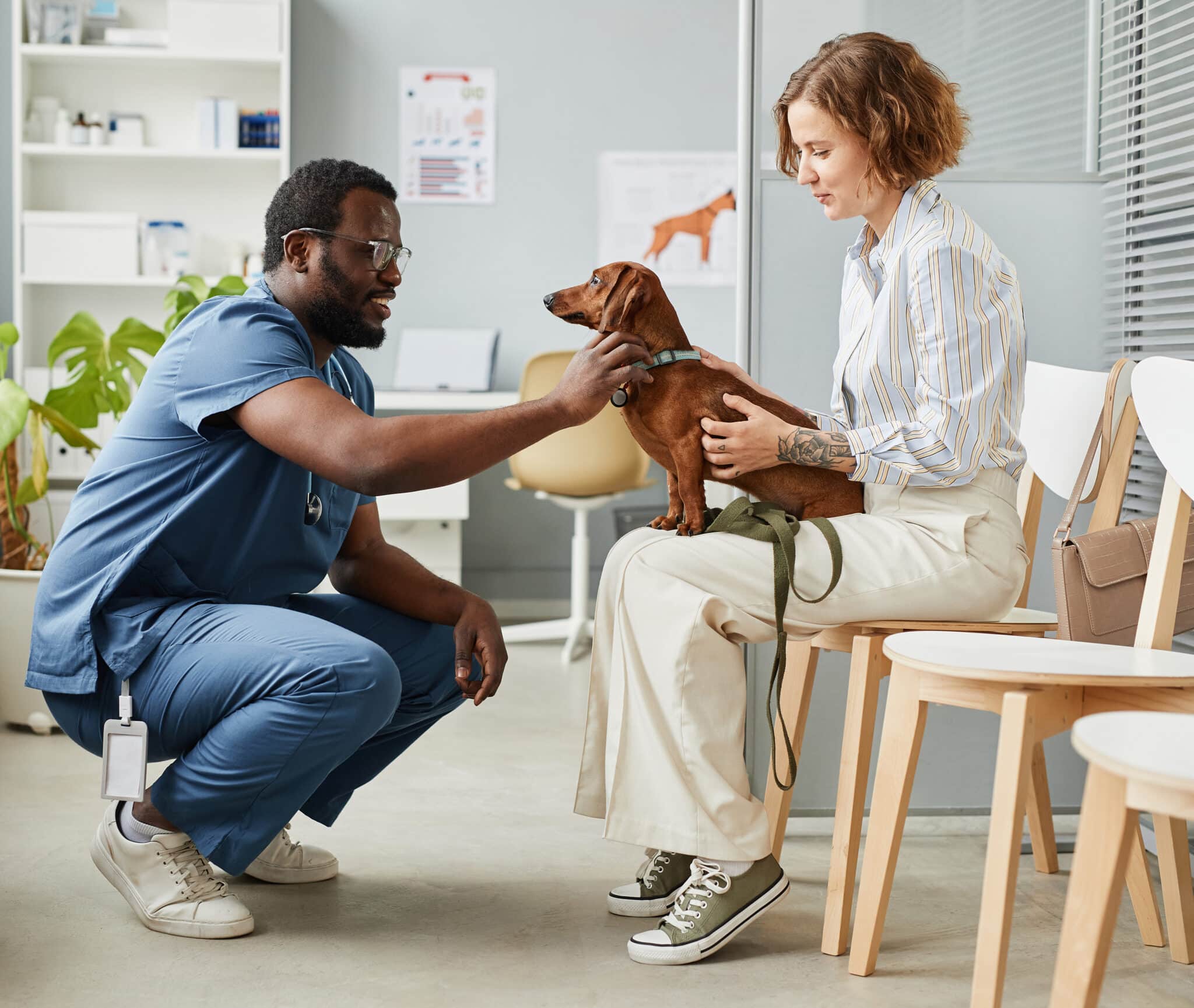 Floor Coating Solutions for Veterinary Clinics and Kennels