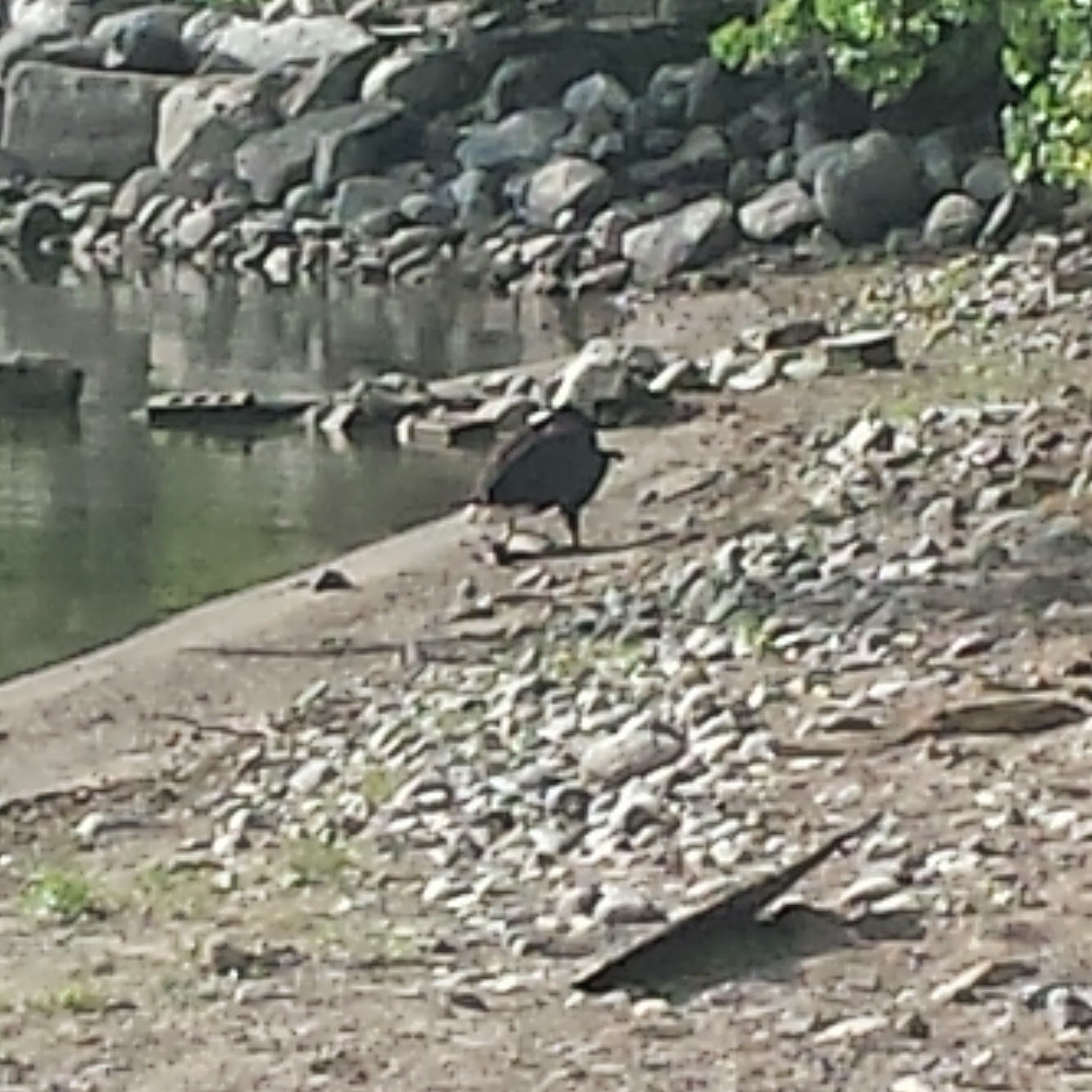 Crow River North Crow River North Blog