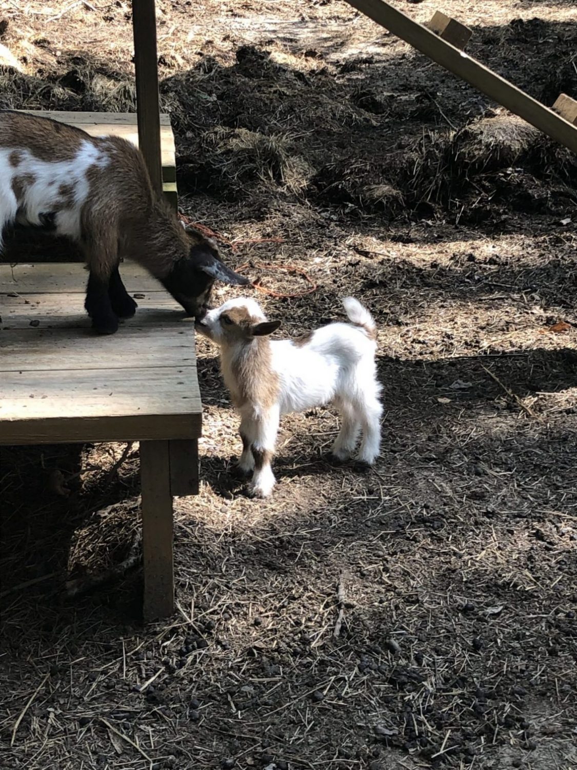 The Crow’s Nest Farms Greene County, Arkansas