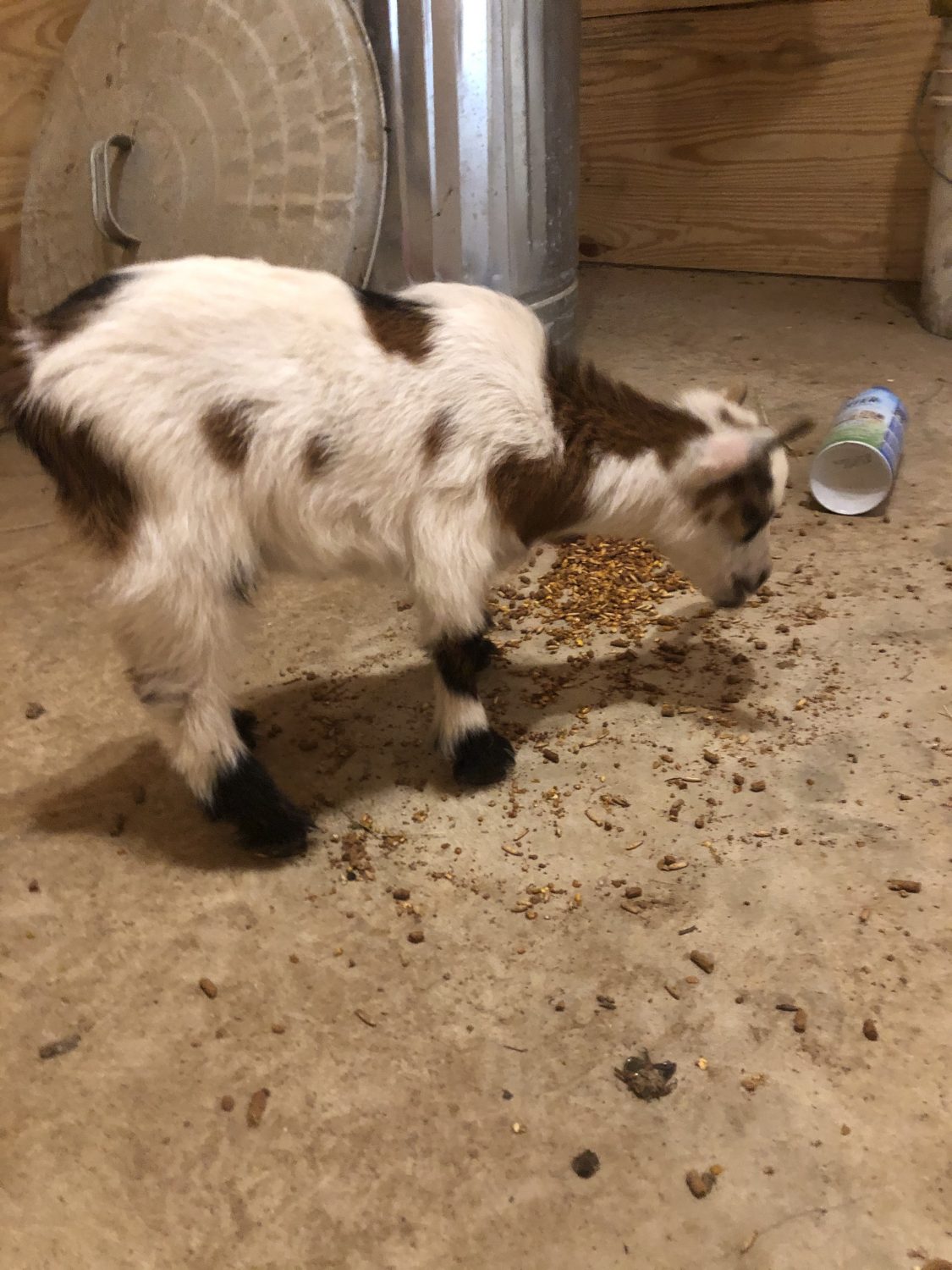 The Crow’s Nest Farms Greene County, Arkansas