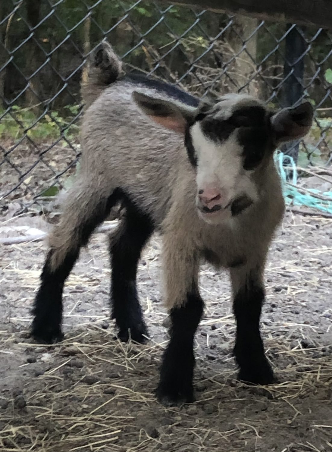 The Crow’s Nest Farms Greene County, Arkansas