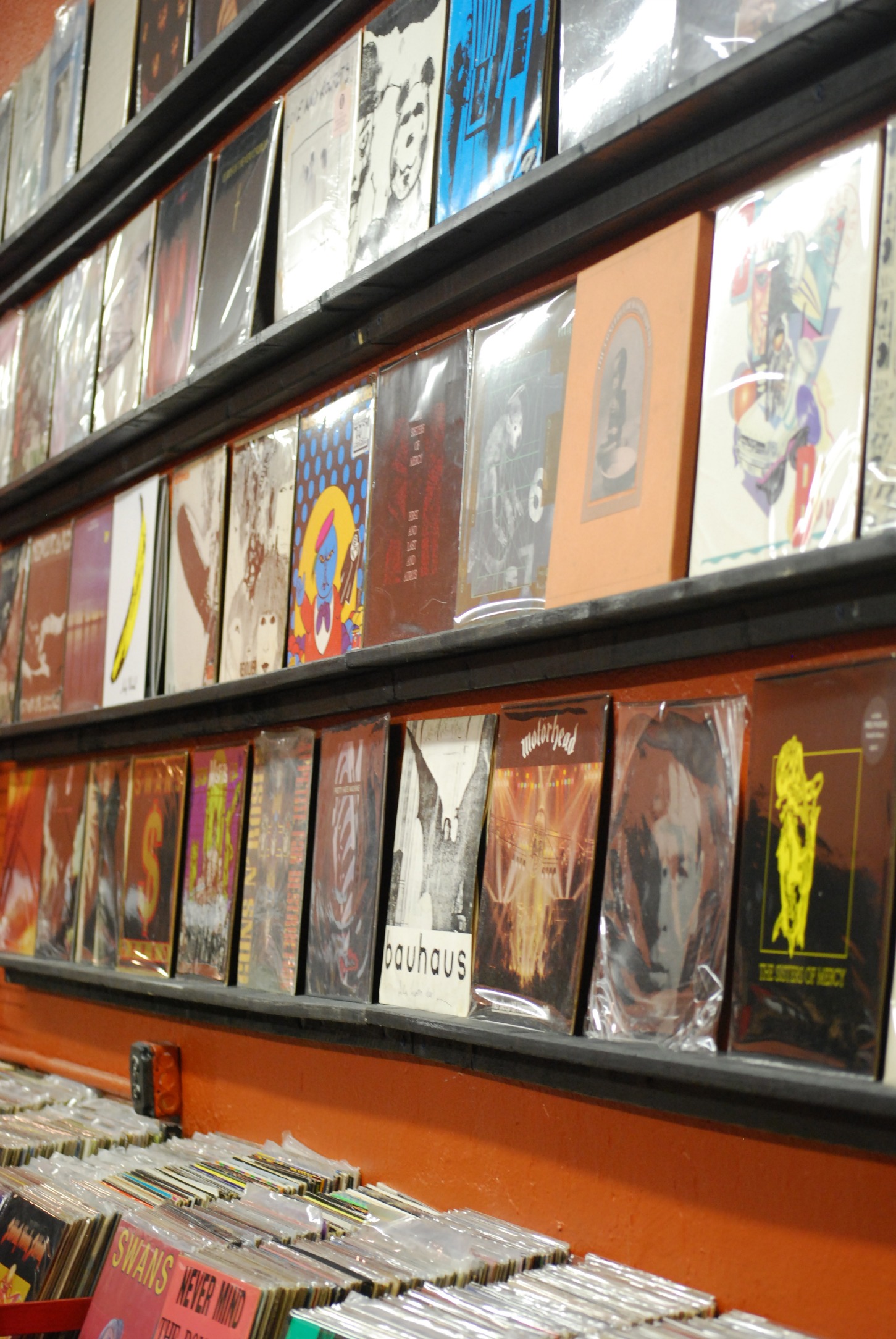 St. Pete punks vintage record store reopens The Crow's Nest