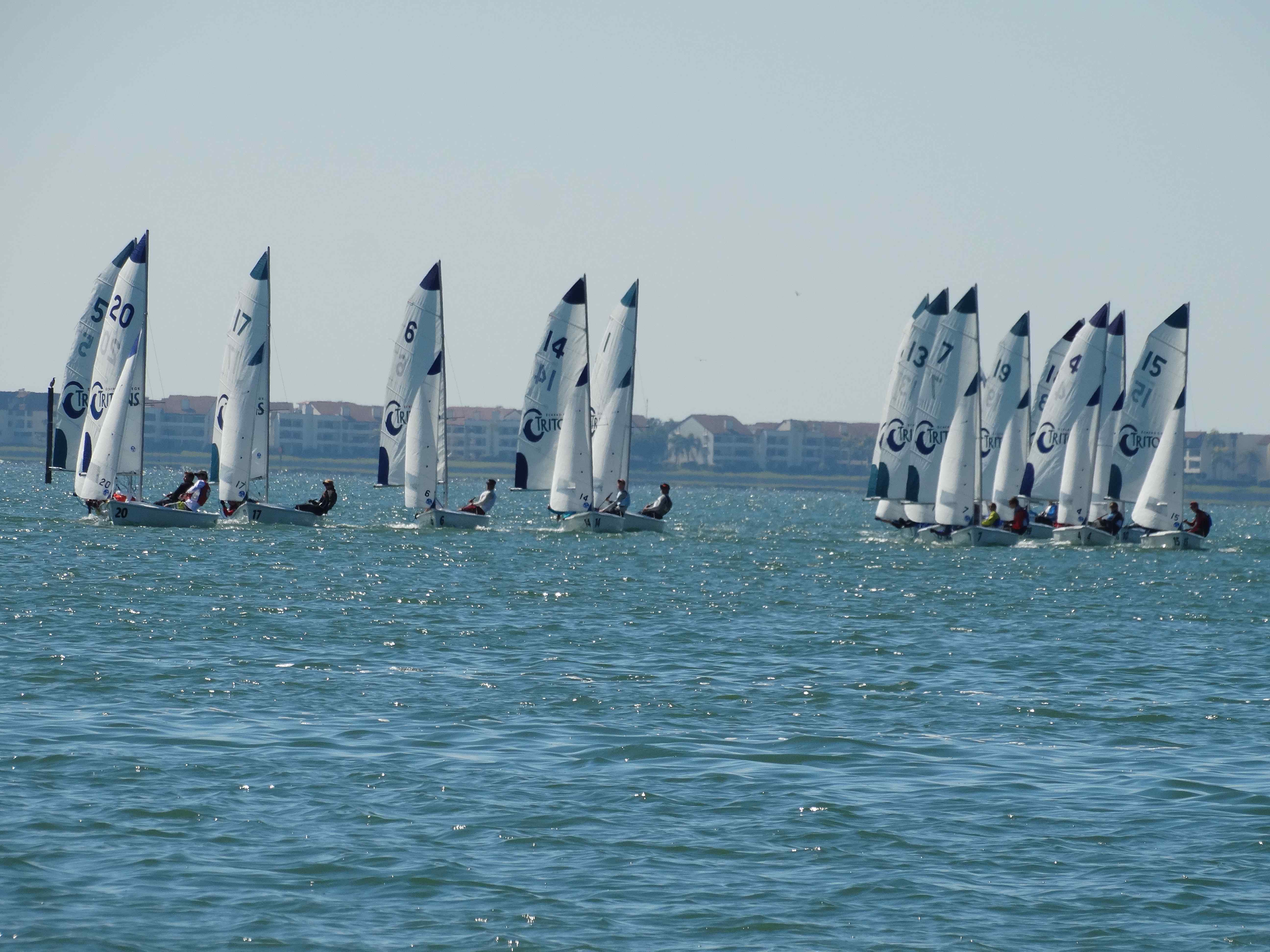 USF sailing teams splash into spring season The Crow's Nest at USF St