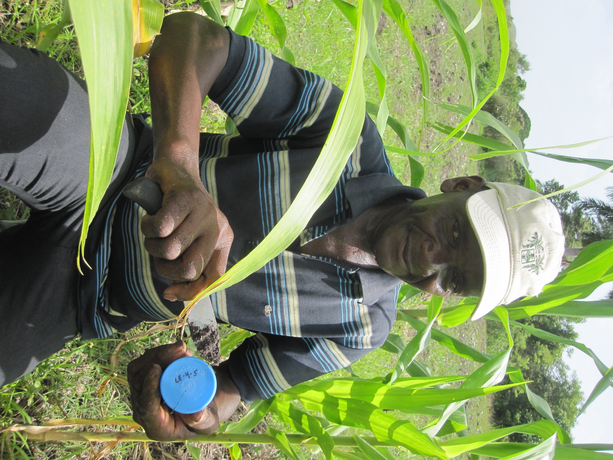 Arresting environmental decline in Haiti Learning about Conservation