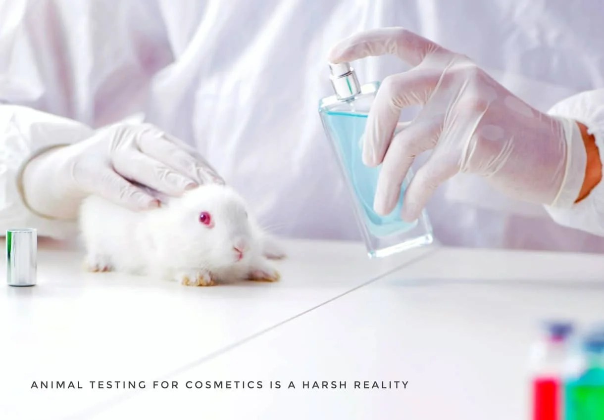 What is Animal Testing for Cosmetics in 2023? (in Simpler Words)