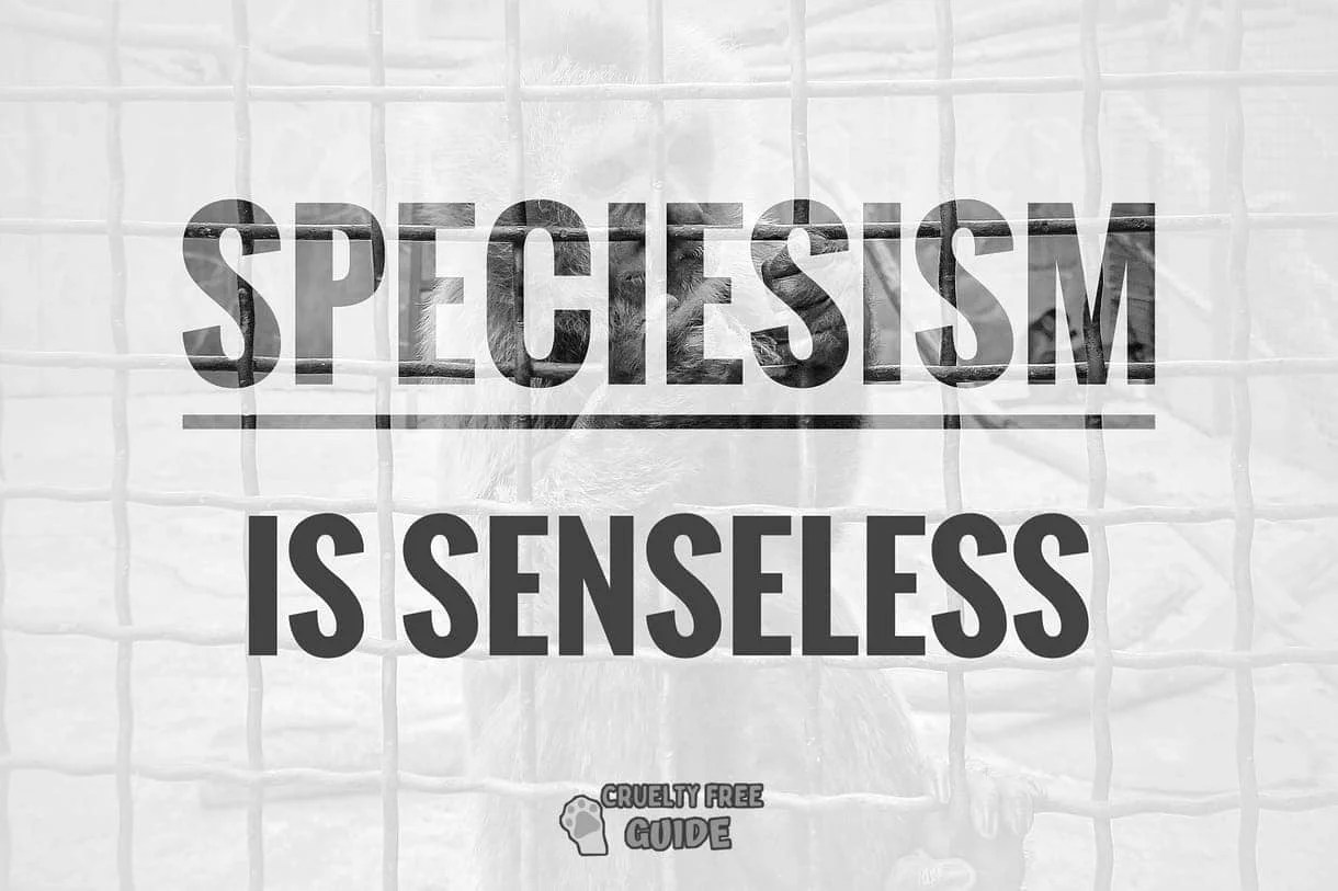 International Animal Rights Day 2023 What, When, Why & History